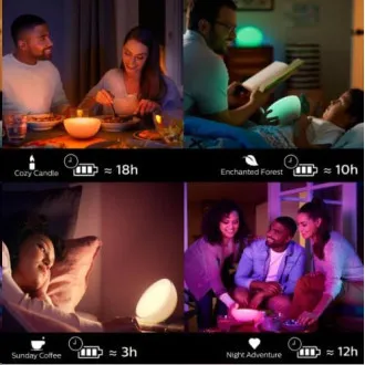 PHILIPS COL Hue Go Prijenosna svjetiljka Hue Bijela i ambijent u boji PHILIPS COL Hue Go Prijenosna svjetiljka Hue Bijela i ambijent u boji