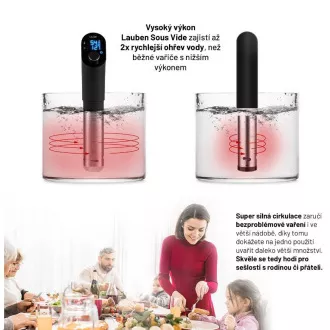Lauben Sous Vide Stick SV01