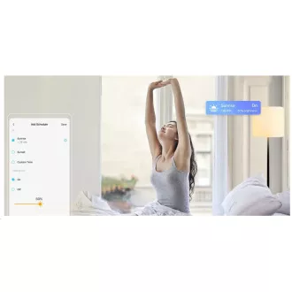 TP-Link Tapo L510E pametna WiFi LED žarulja s prigušivanjem (bijela, 2700K, 806lm, 2,4 GHz, E27)