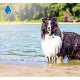 Tractive GPS DOG 4 - GPS praćenje položaja i aktivnosti za pse Tractive GPS DOG 4 - GPS praćenje položaja i aktivnosti za pse