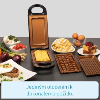 Višenamjenski roštilj Livington Flip Switch