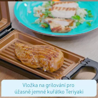 Višenamjenski roštilj Livington Flip Switch