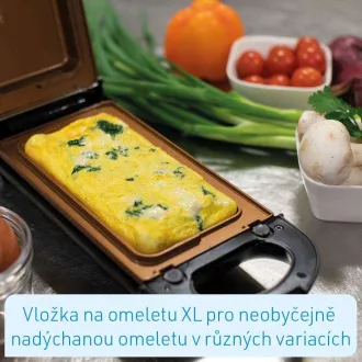 Višenamjenski roštilj Livington Flip Switch