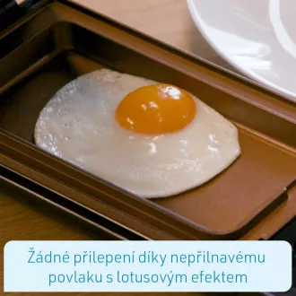 Višenamjenski roštilj Livington Flip Switch
