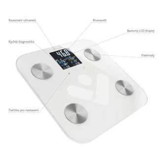 TrueLife FitScale W6 BT - bluetooth vaga za bioelektričnu impedanciju - bijela