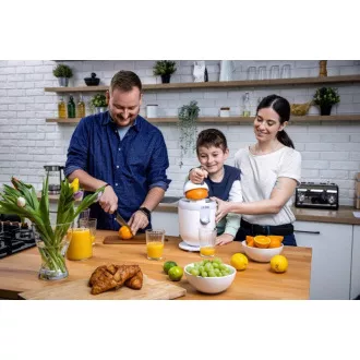 Lauben Electric Citrus Juicer 110WT - sokovnik Lauben Electric Citrus Juicer 110WT - sokovnik