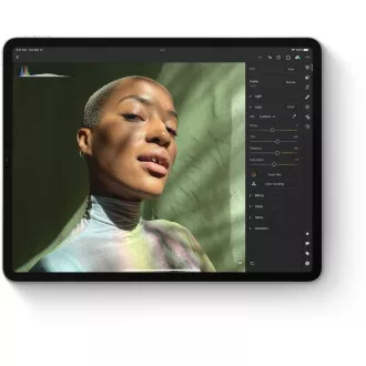 APPLE iPad 10, 2" (9. generacija) (2021.) Wi-Fi 64 GB - srebrni APPLE iPad 10, 2" (9. generacija) (2021.) Wi-Fi 64 GB - srebrni