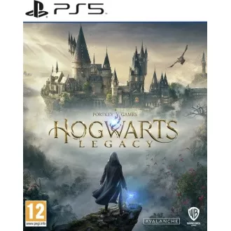 PS5 igra Hogwarts Legacy