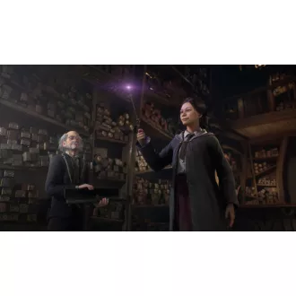 PS5 igra Hogwarts Legacy