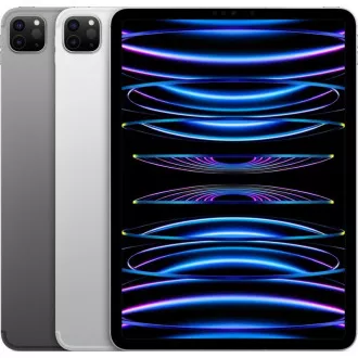 APPLE 11" iPad Pro (4. gen) Wi-Fi + Cellular 512 GB - svemirsko siva