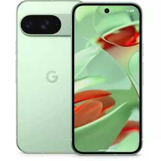 Google Pixel 9 - 256 GB Wintergreen, EU Google Pixel 9 - 256 GB Wintergreen, EU