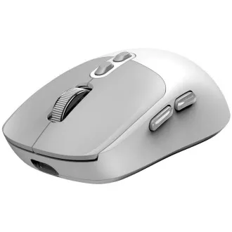 GENIUS miš NX-8080S BT/ dual Bluetooth + 2.4GHz/ 1600 dpi/ Copilot/ bežični/ tihi/ bijelo-sivi
