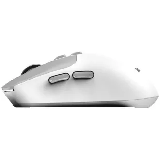 GENIUS miš NX-8080S BT/ dual Bluetooth + 2.4GHz/ 1600 dpi/ Copilot/ bežični/ tihi/ bijelo-sivi