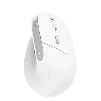 TRUST miš Bayo II Ergonomski okomiti miš, bežični, bijeli