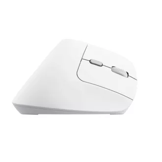 TRUST miš Bayo II Ergonomski okomiti miš, bežični, bijeli