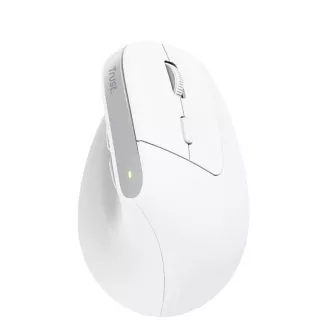TRUST miš Bayo+ Ergonomski okomiti miš, bežični, bijeli