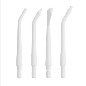 Tesla Flosser FS200 rezervne glave bijela