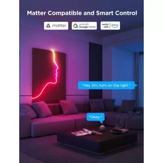 Govee Neon 2 MATTER fleksibilna LED traka (3m) - RGBIC