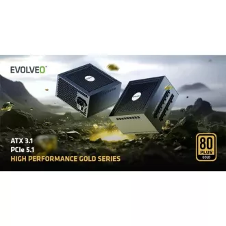 EVOLVEO G650 napajanje 650W, 80+ GOLD, ATX 3.1, aPFC, 140 mm ventilator