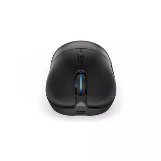 Endorfy miš GEM Plus Wireless PAW3395 / Khail GM 8.0 / bežični / crni