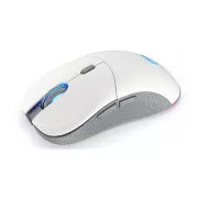 Endorfy miš GEM Plus Wireless OWH PAW3395 / Khail GM 8.0 / bežični / bijeli