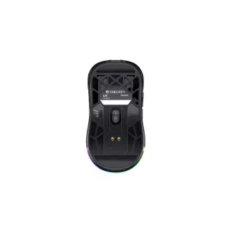 Endorfy Gaming miš LIV bežični, bežični, ARGB, crni Endorfy Gaming miš LIV bežični, bežični, ARGB, crni