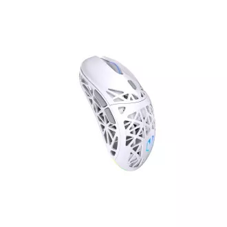Endorfy Gaming Mouse LIV Wireless Onyx White, Bežični, ARGB, bijela