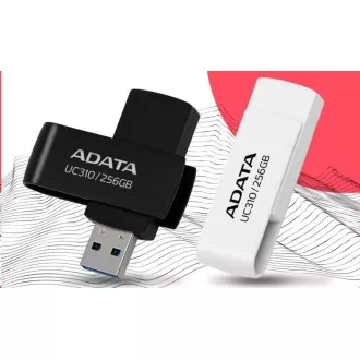 ADATA Flash Disk 256GB UC310, USB 3.2, crni