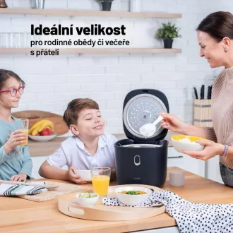 Lauben Low Sugar Rice Cooker 3000AT - kuhalo za rižu