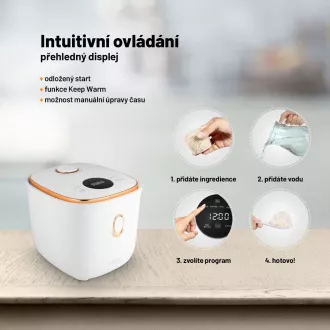 Lauben Multifunction Rice Cooker 1200WR Rose Gold Edition - kuhalo za rižu Lauben Multifunction Rice Cooker 1200WR Rose Gold Edition - kuhalo za rižu