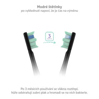TrueLife SonicBrush Clean-series glave Standardne crne boje, pakiranje od 8 komada