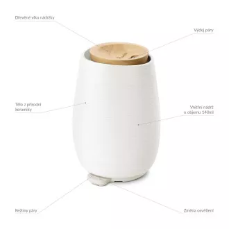 TrueLife AIR Diffuser D8 - Aroma difuzor TrueLife AIR Diffuser D8 - Aroma difuzor