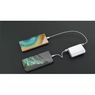 WG - Powerbank 10000 mAh / QC 3.0 i PD izlaz+ulaz / ultra mala / bijela