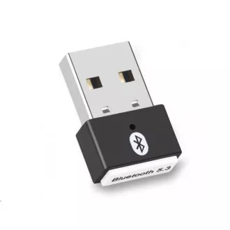 WG - Mini Bluetooth 5.3 adapter