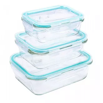 Steuber Staklena posuda s mikrovalnim ventilom 620 ml