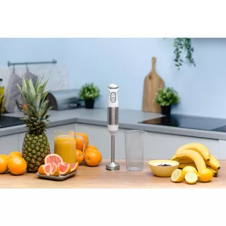 ZHB4561 ZELMER LIME BEND BLENDER ZHB4561 ZELMER LIME BEND BLENDER
