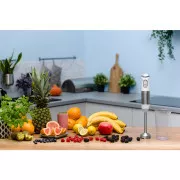 ZHB4562 BLENDER ZELMER LIME