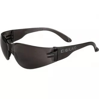 CXS-OPSIS ALAVO naočale, dimljene CXS-OPSIS ALAVO naočale, dimljene
