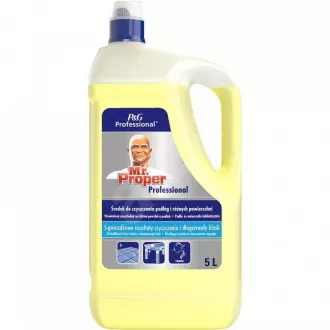 Mr.Proper professional univerzalni limun 5L