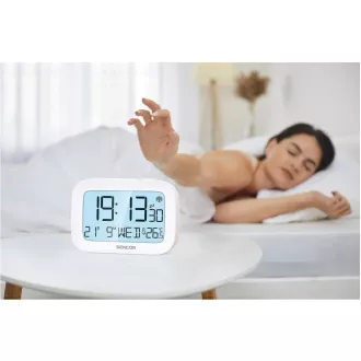 SDC 2200 SENCOR ALARM
