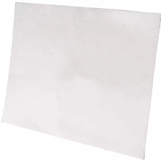 EF1 FILTER MOTORA (900034312) ELECTROLUX