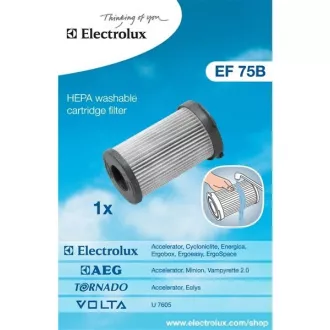 EF75B CYCLONE.FILTER(900195949) ELECTROLUX