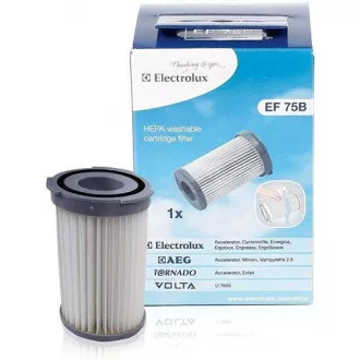 EF75B CYCLONE.FILTER(900195949) ELECTROLUX