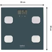 BM2520V0 TEFAL OSOBNA VAGA