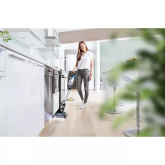 2907N BISSELL SREDSTVO ZA ČIŠĆENJE ŠIPKA
