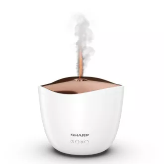 DF-A1E-W AROMA DIFUZOR SIM. PLAMEN OŠTAR DF-A1E-W AROMA DIFUZOR SIM. PLAMEN OŠTAR