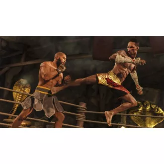 EA Sports UFC 4 igra PS4 EA EA Sports UFC 4 igra PS4 EA