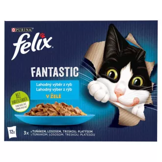 FELIX Fantastic Multipack 12x85g losos/iverak/tuna/bakalar u želeu