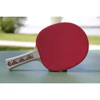 DONIC Reket za stolni tenis CHAMPS LINE 150 FSC