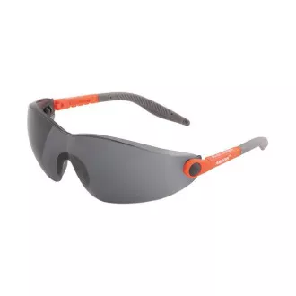 Naočale V6100